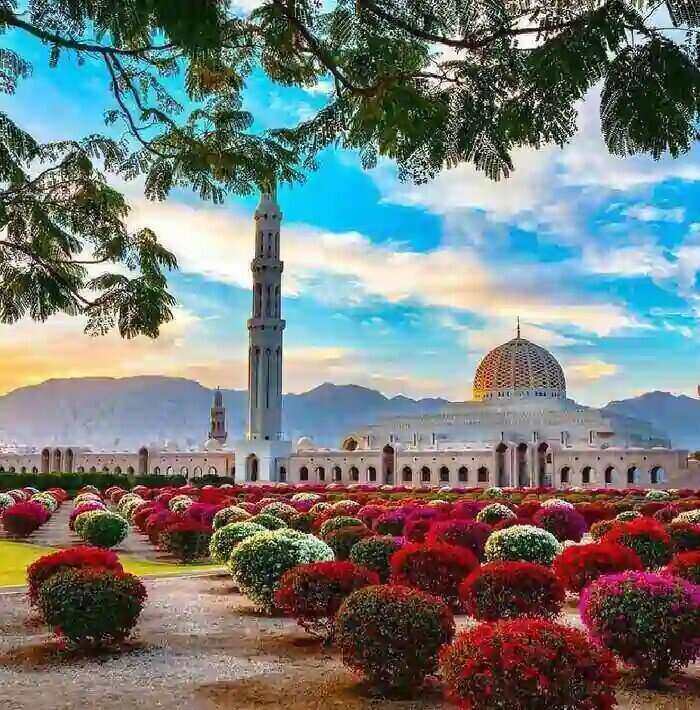 Super Saver Oman-tour